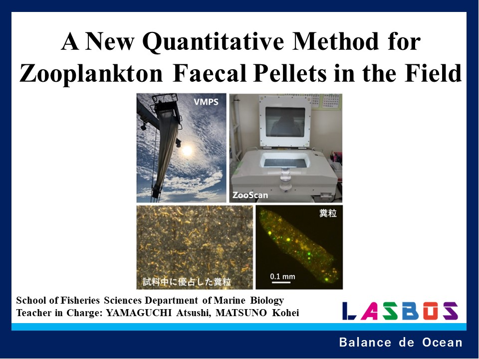 A New Quantitative Method for Zooplankton Faecal Pellets in the Field