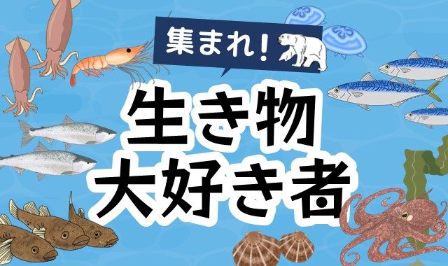 集まれ！生き物大好き者