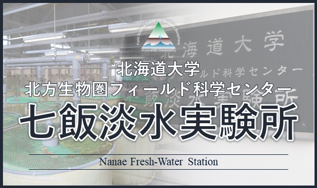 七飯淡水実験所