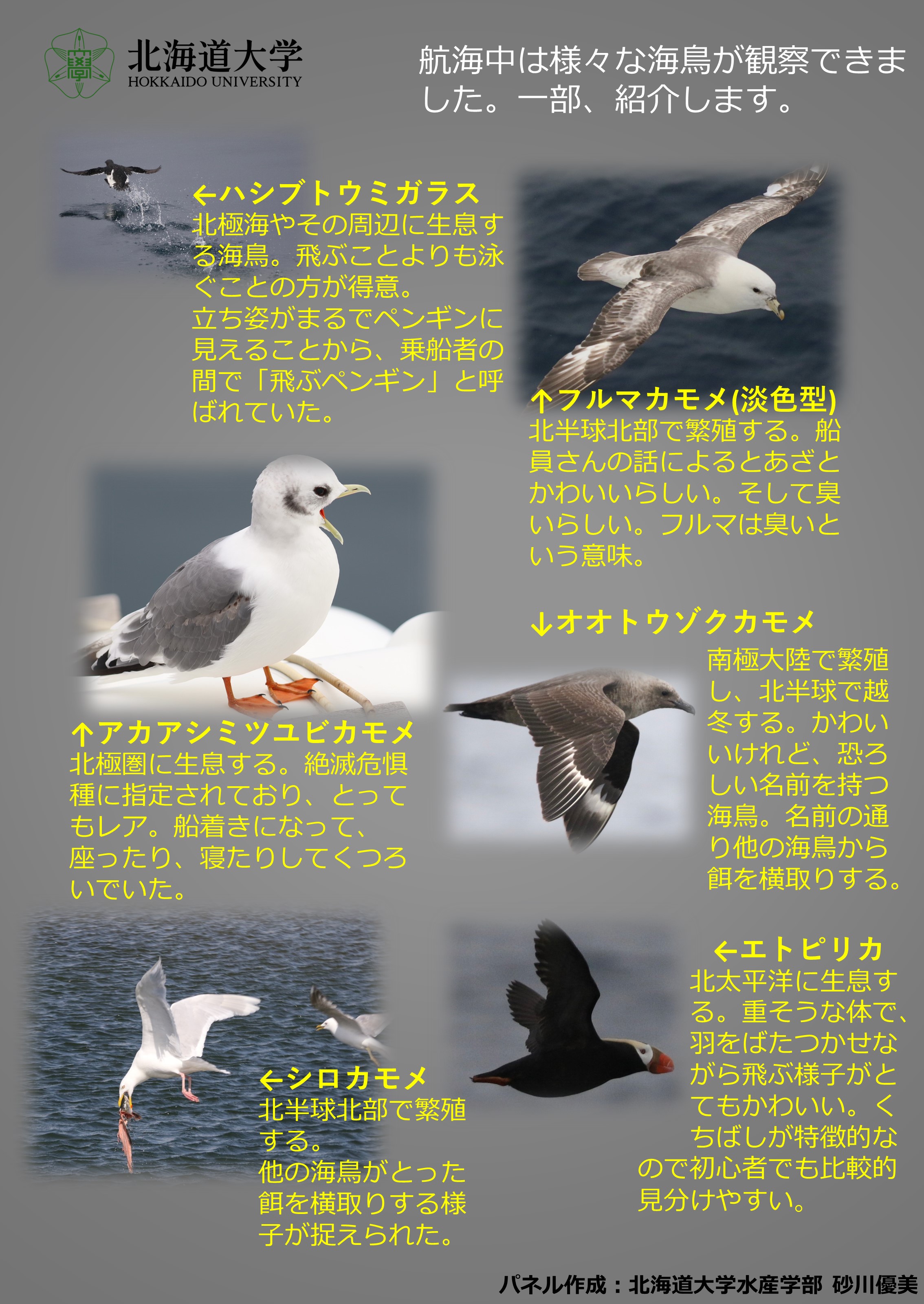 コース: 2023年北極航海パネル展示 | LASBOS Moodle