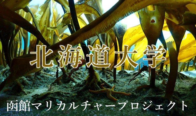 Course Image 函館マリカルチャープロジェクト（北海道大学）