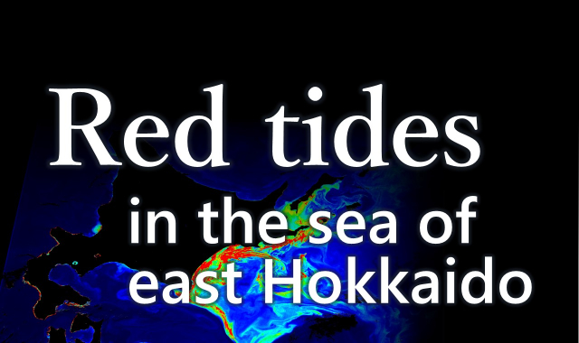 Red tides in the sea of east Hokkaido