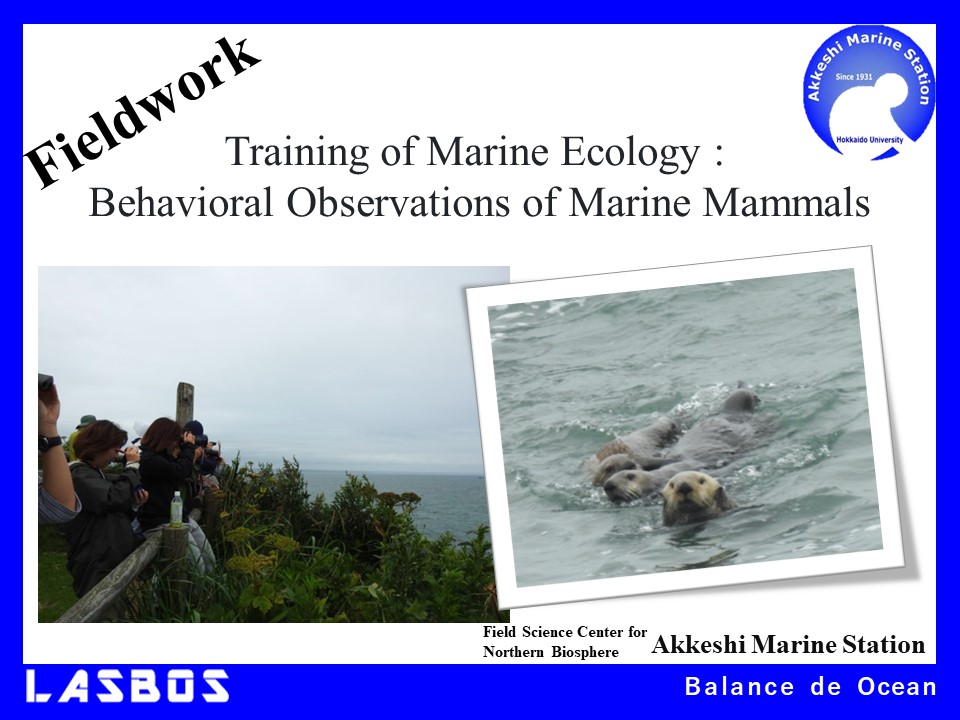 Training of Marine Ecology 4: Behavioral Observations of Marine Mammals