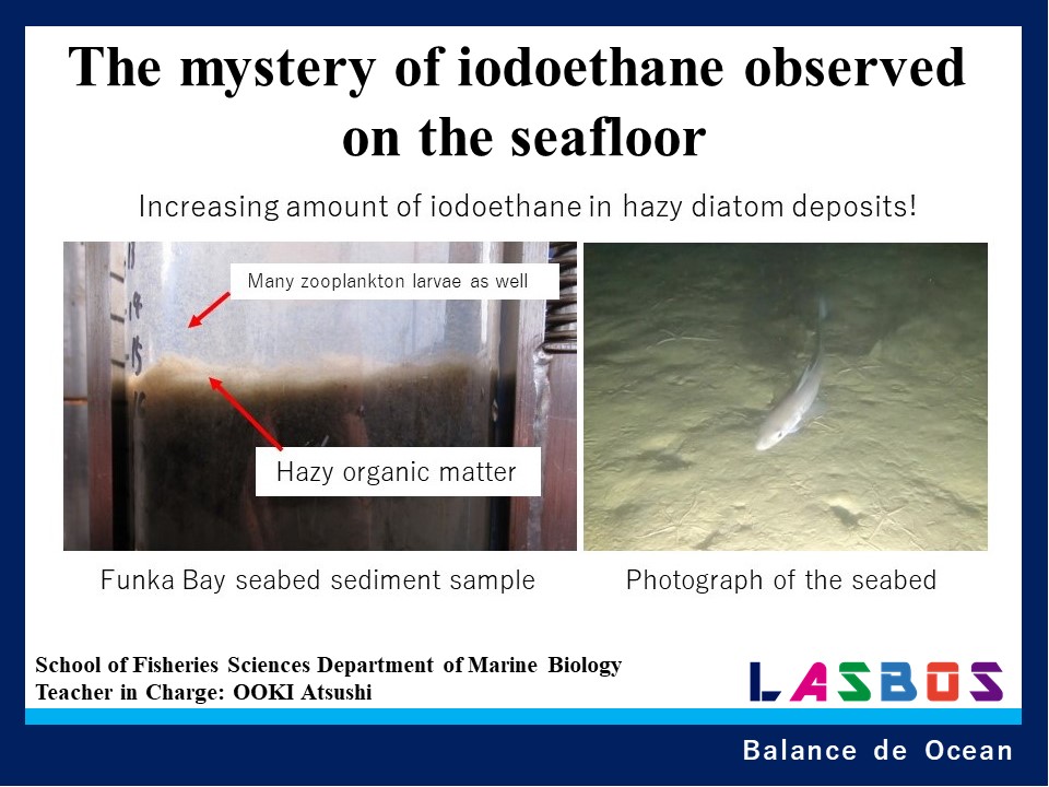 The mystery of iodoethane observed on the seafloor