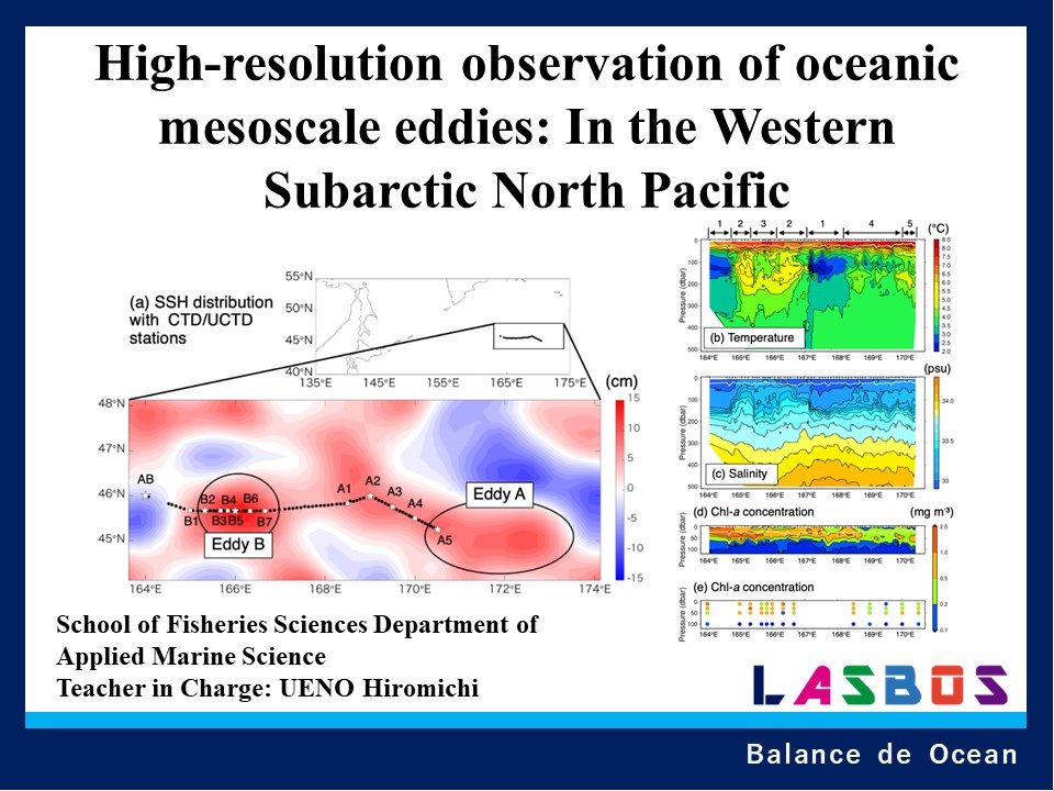 High-resolution observation of oceanic mesoscale eddies: In the Western Subarctic North Pacific