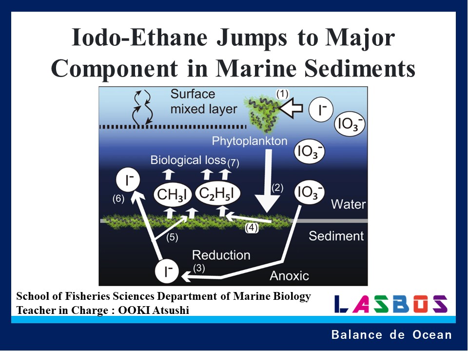 Iodo-Ethane Jumps to Major Component in Marine Sediments