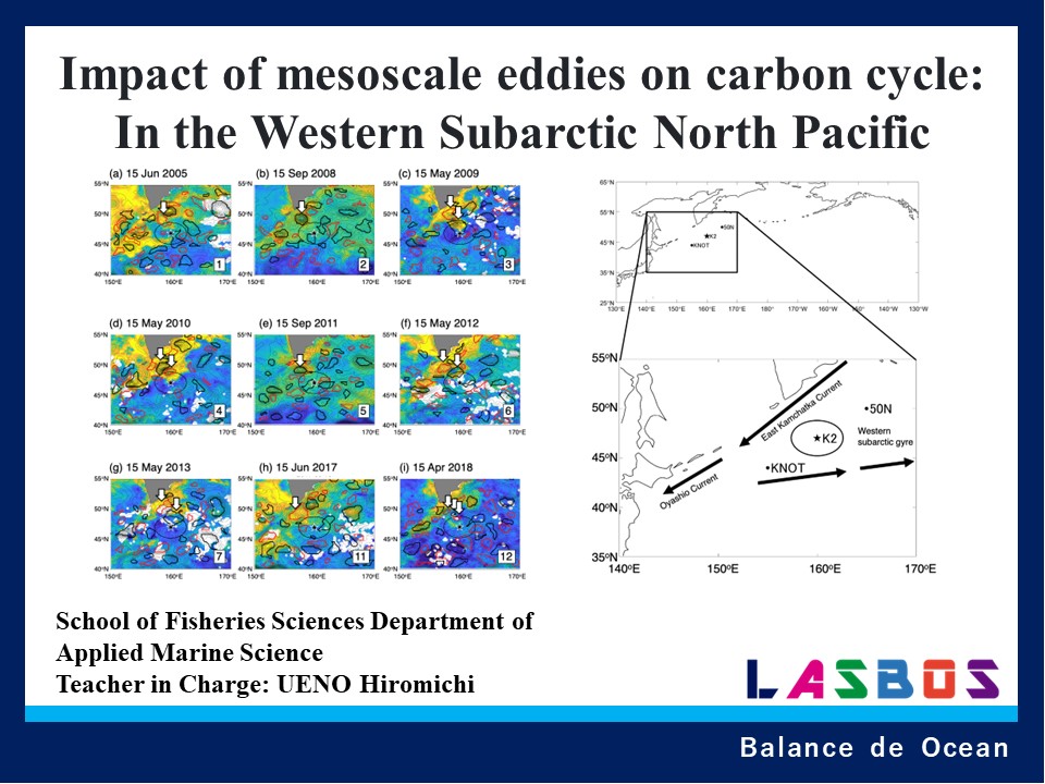 Impact of mesoscale eddies on carbon cycle: In the Western Subarctic North Pacific