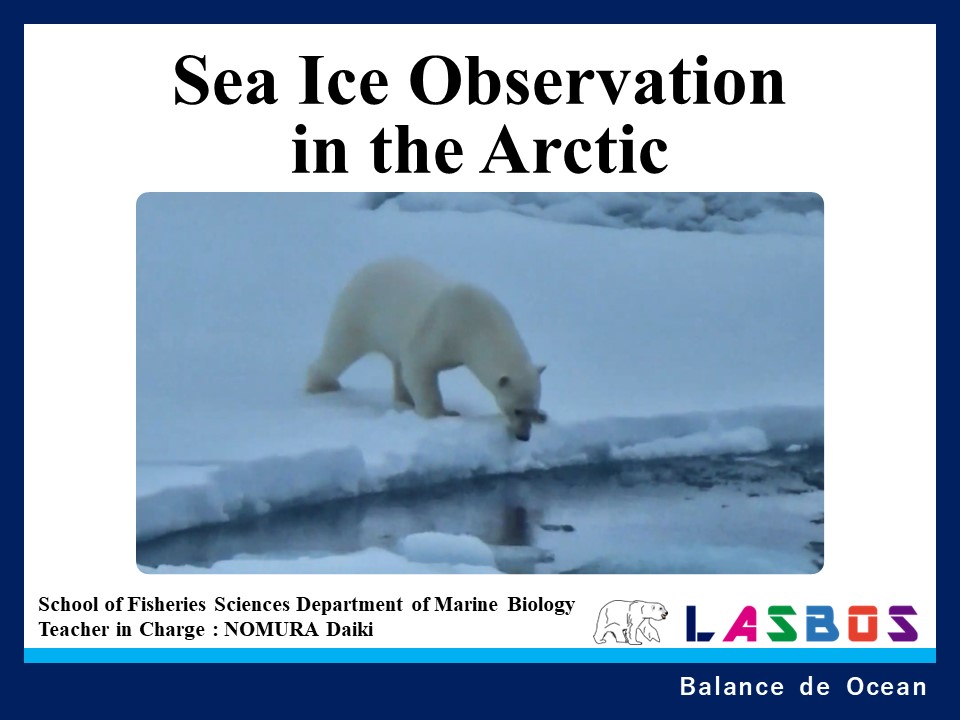 Sea Ice Observation in the Arctic