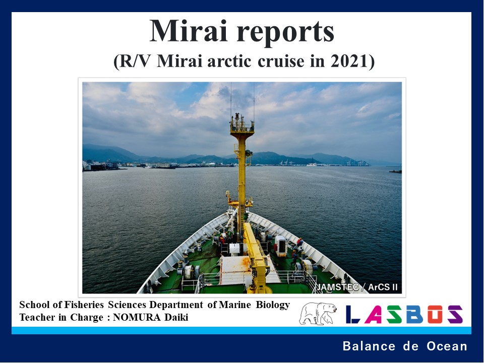 Mirai reports