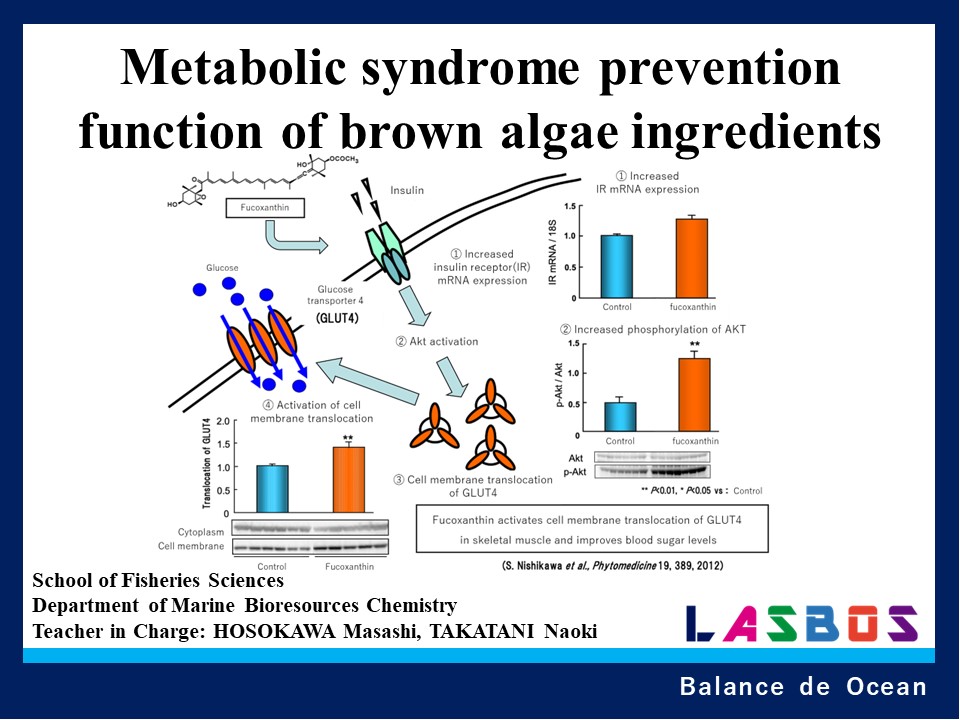 Metabolic syndrome prevention function of brown algae ingredients