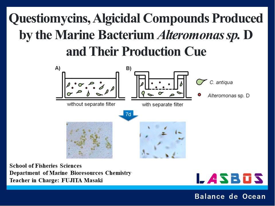 Questiomycins, Algicidal Compounds Produced by the Marine Bacterium Alteromonas sp. D and Their Production Cue