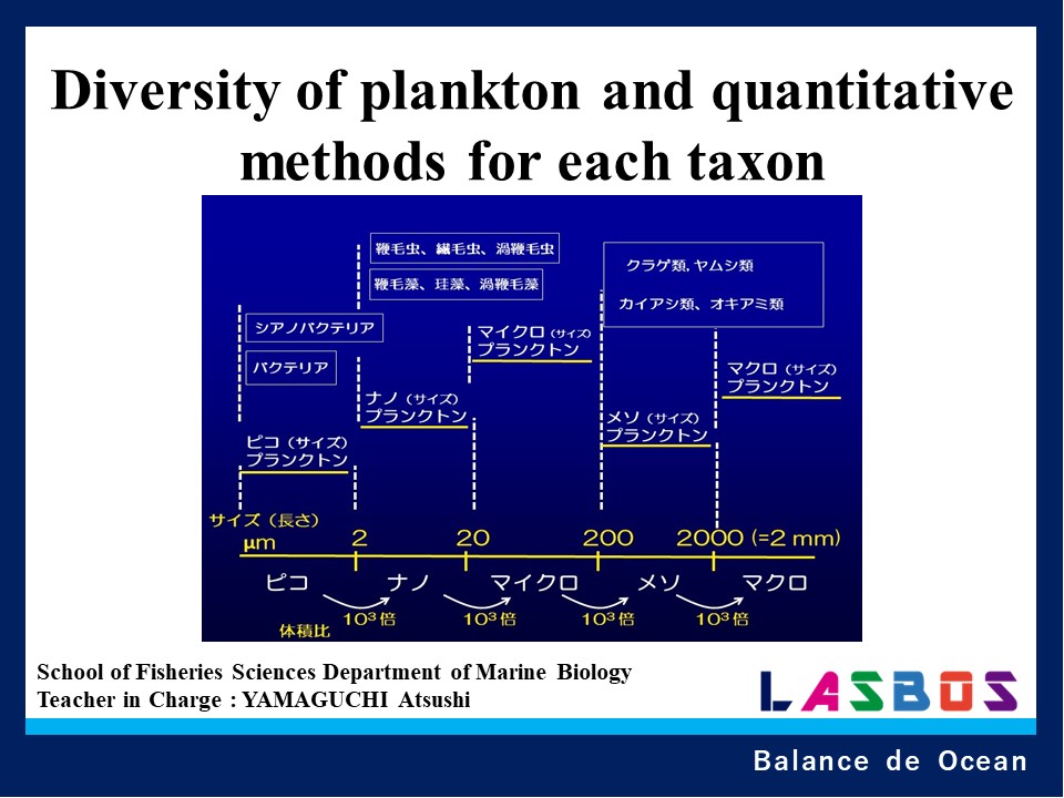Diversity of plankton and quantitative methods for each taxon