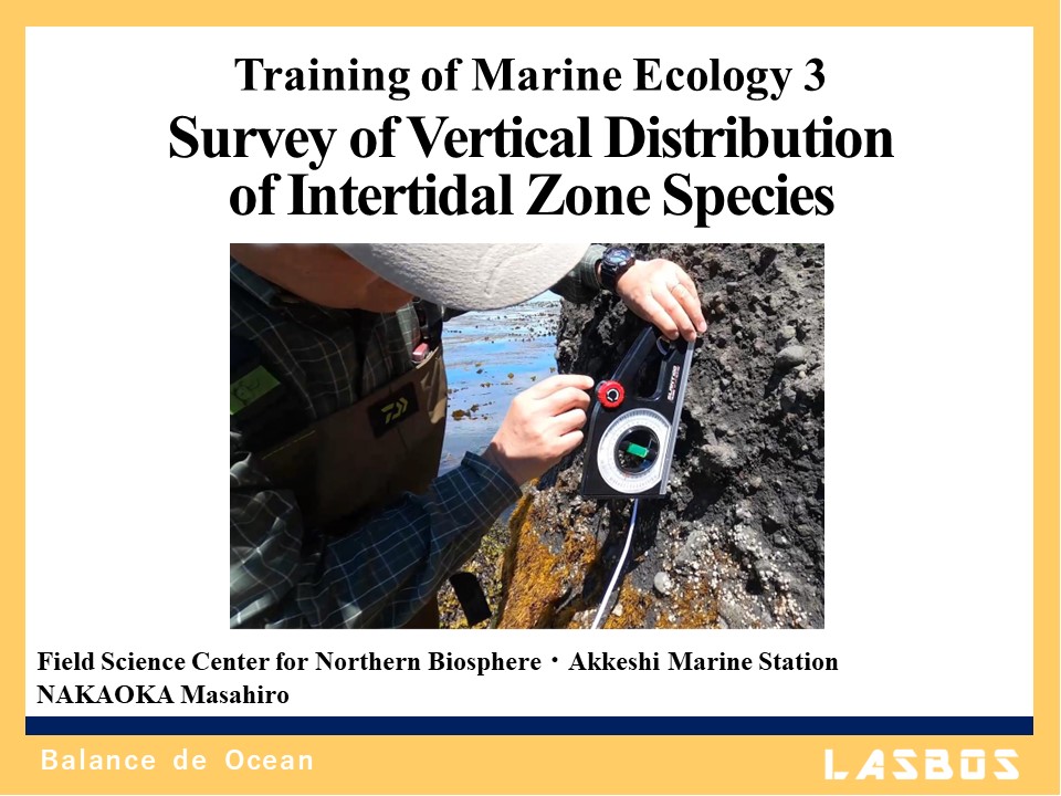 Training of Marine Ecology 3: Survey of Vertical Distribution of Intertidal Zone Species