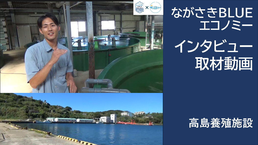 高島水産研究所　「ブリの完全養殖プロジェクト」