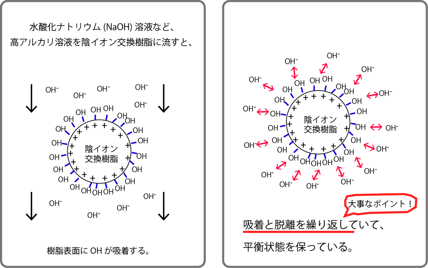 コース: クロマトグラフィー（イオン交換樹脂）