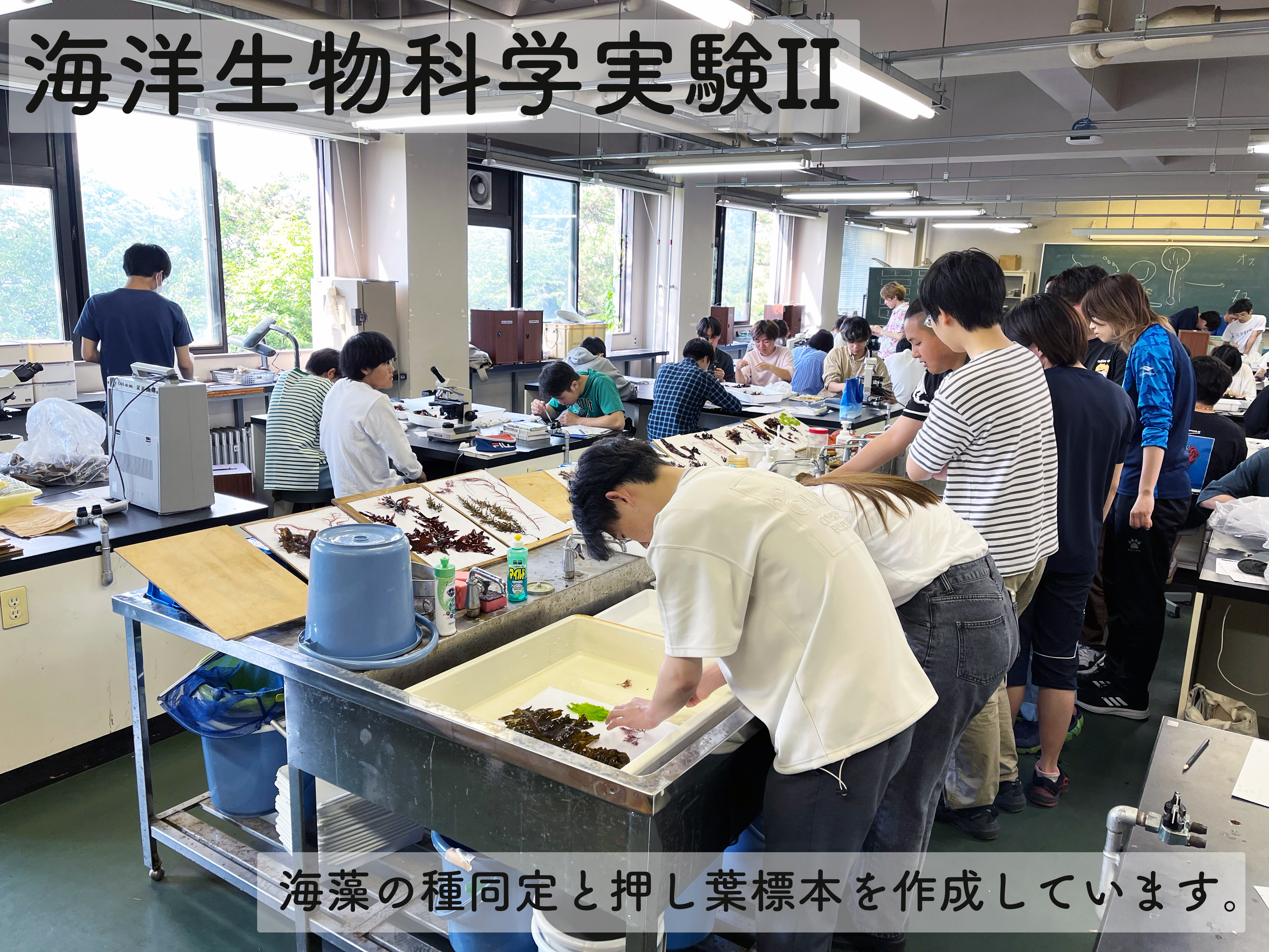 Course: 海洋生物科学科の紹介コース | LASBOS Moodle