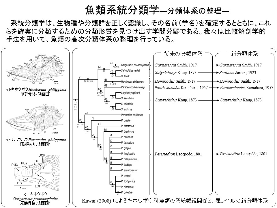 菌類系統分類学 植物病原菌類 | バイオテクノロジー | 製品評価技術基盤機構