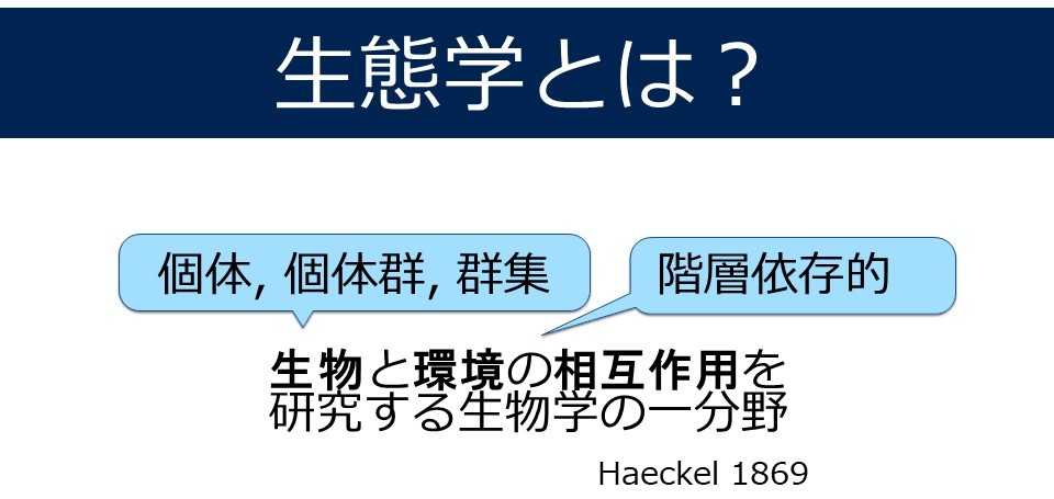 Course: 行動生態学入門：ヤドカリのオスはどのような情報を利用して