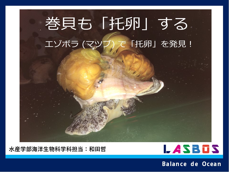 海藻学総説 Amazon.co.jp: 概説経済学 : 大淵 三洋, 芹澤 高斉, 大淵 三洋