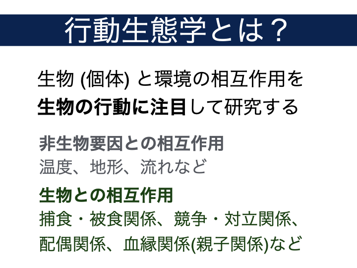 Course: 行動生態学入門：ヤドカリのオスはどのような情報を利用して