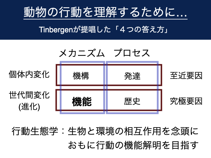 Course: 行動生態学入門：ヤドカリのオスはどのような情報を利用して