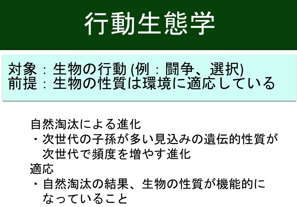 Course: 行動生態学入門：ヤドカリのオスはどのような情報を利用して、配偶行動をおこなうか？ | LASBOS Moodle