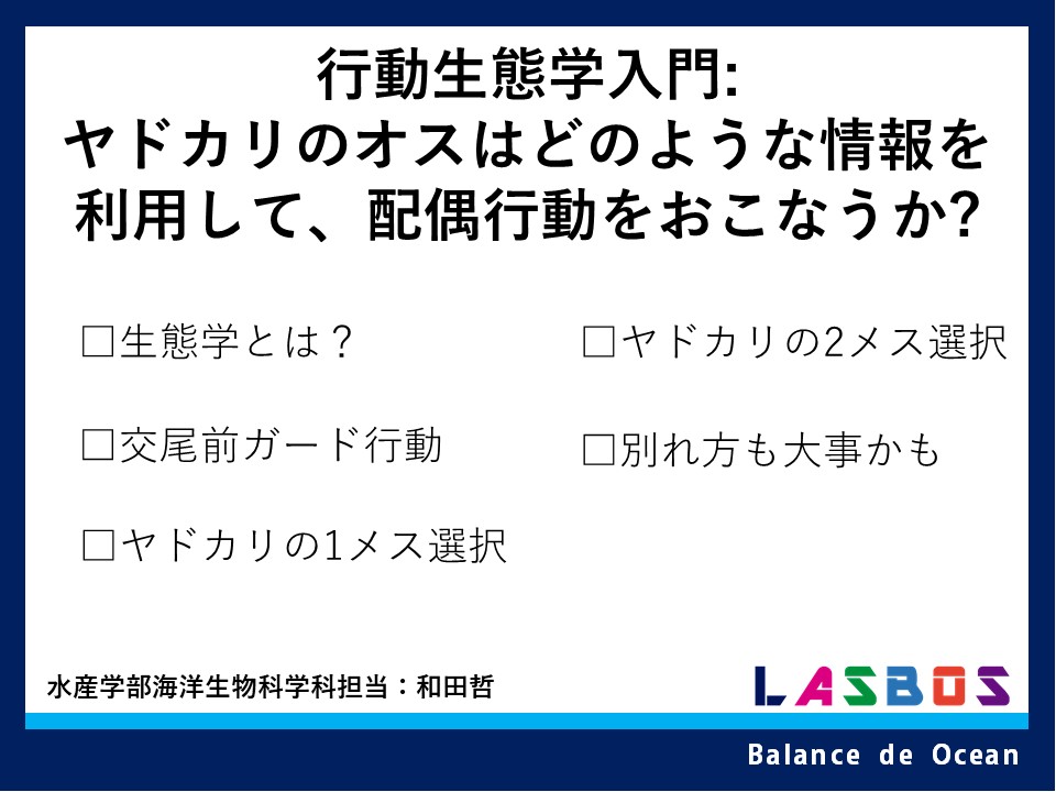 コース: 行動生態学入門：ヤドカリのオスはどのような情報を利用して