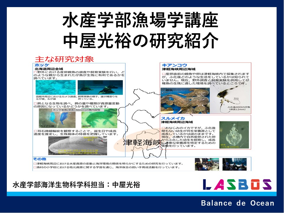 【研究紹介】中屋_水産学部漁場