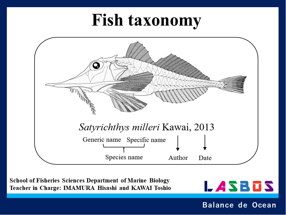 Fish taxonomy