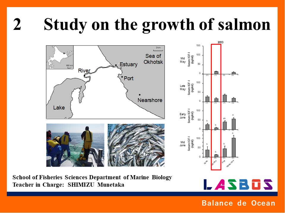 2 Study on the growth of salmon

