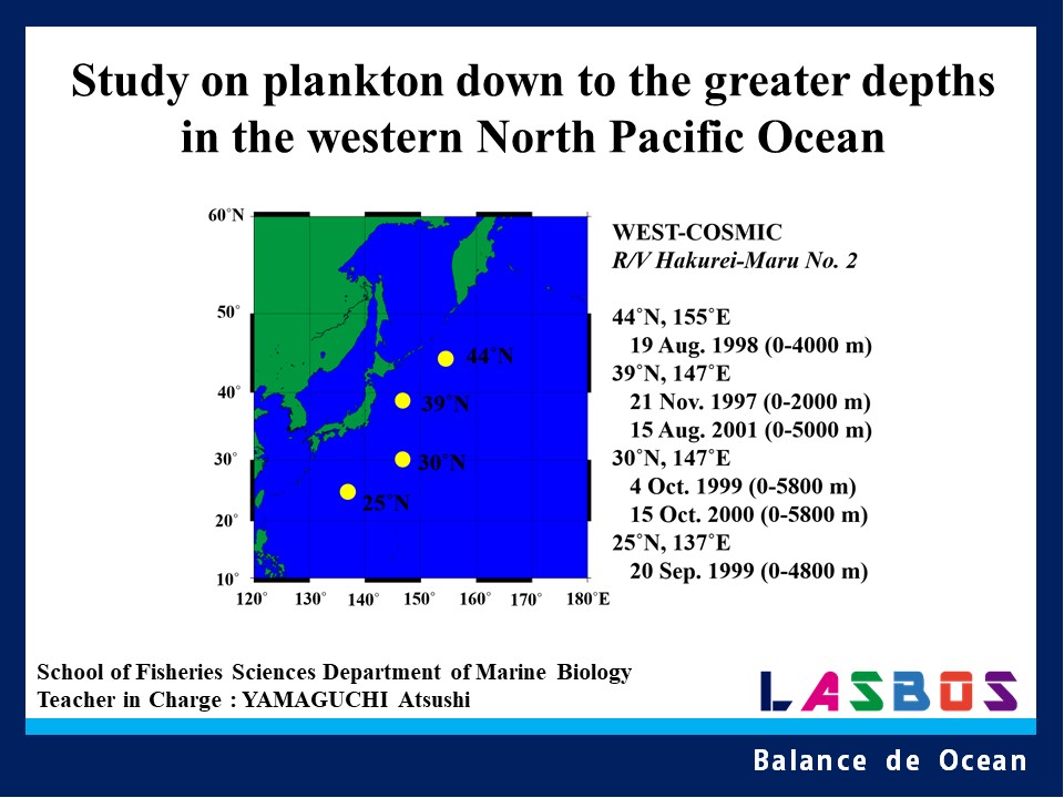 Study on plankton down to the greater depths in the western North Pacific Ocean