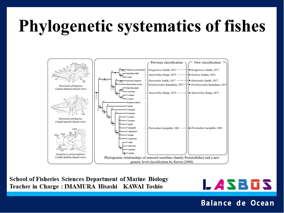 Phylogenetic systematics of fishes