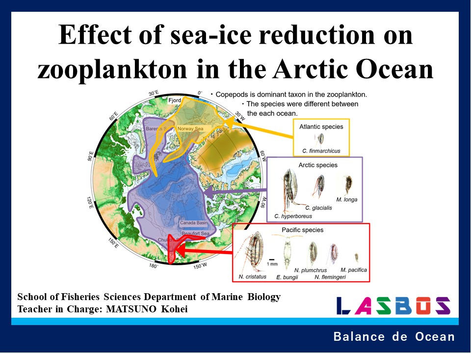Effect of sea-ice reduction on zooplankton in the Arctic Ocean
