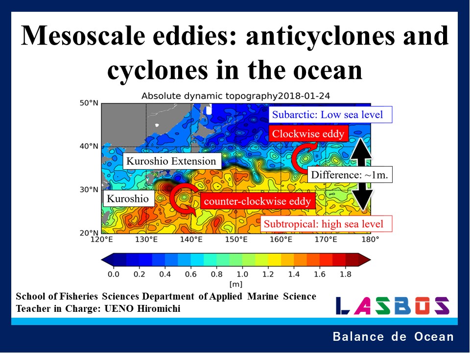 Mesoscale eddies: anticyclones and cyclones in the ocean