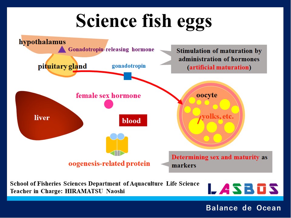 Science fish eggs