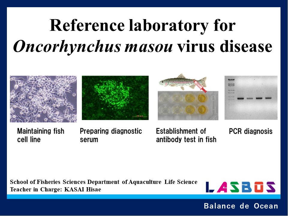 Reference laboratory for Oncorhynchus masou virus disease