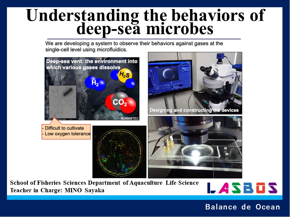 Understanding the behaviors of
deep-sea microbes
