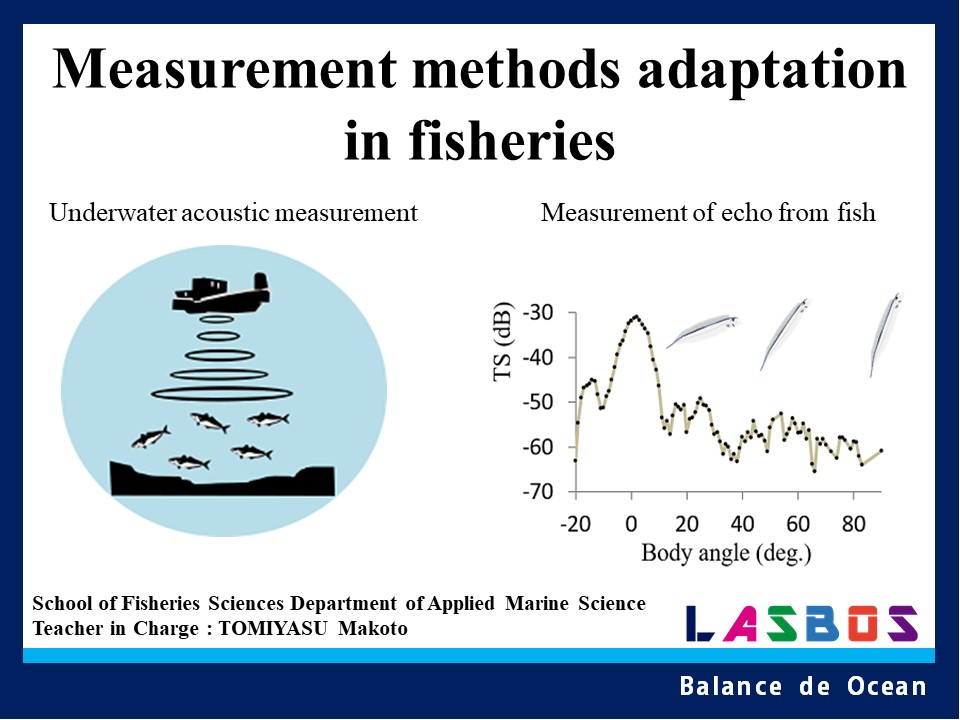 Measurement methods adaptation in fisheries