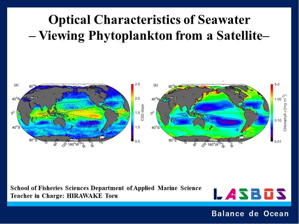 Optical Characteristics of Seawater – Viewing Phytoplankton from a Satellite–