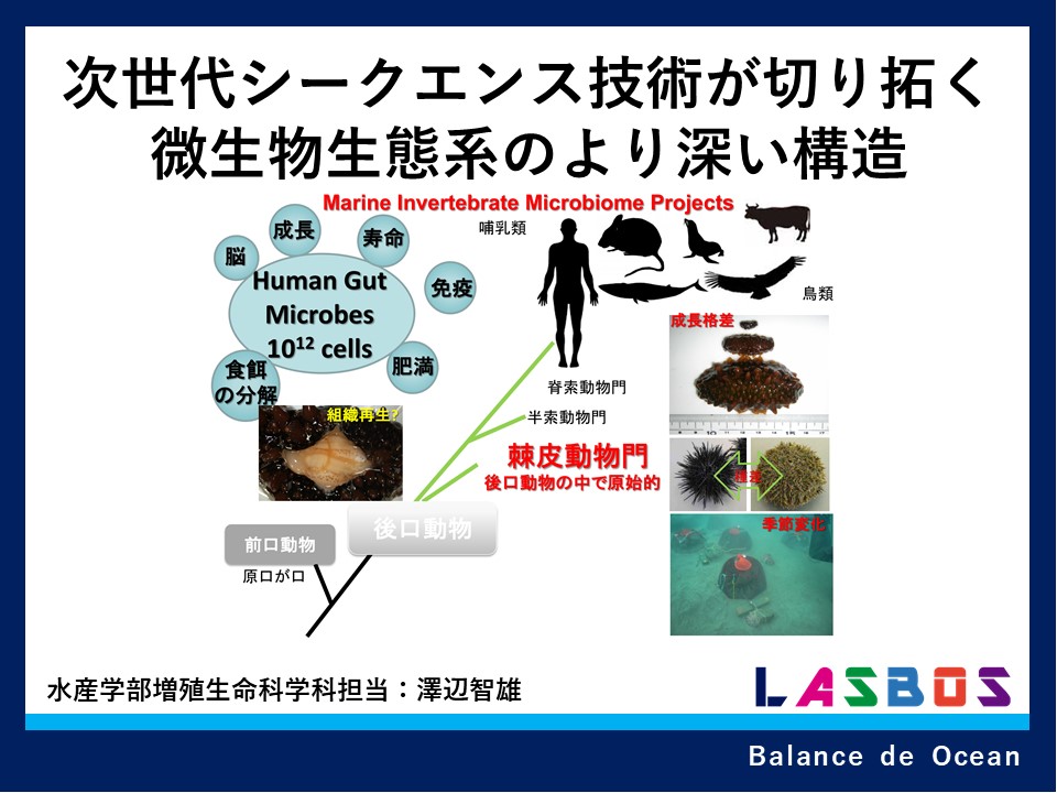 コース: 増殖生命科学科の紹介コース | LASBOS Moodle