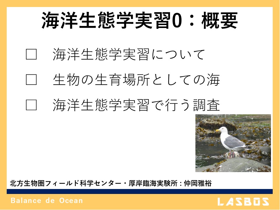海洋生態学実習 0: 概要
  