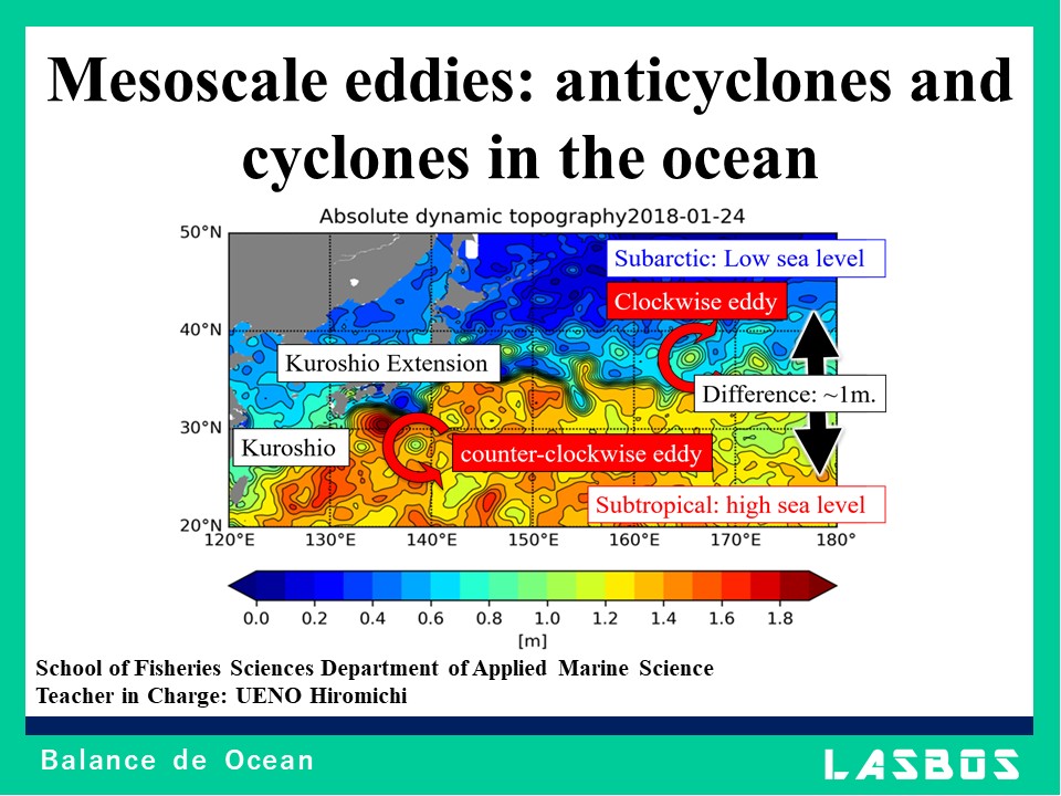Mesoscale eddies: anticyclones and cyclones in the ocean
  