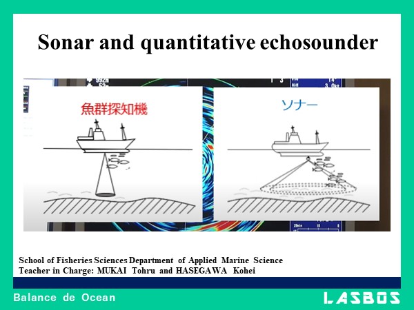 Sonar and quantitative echosounder