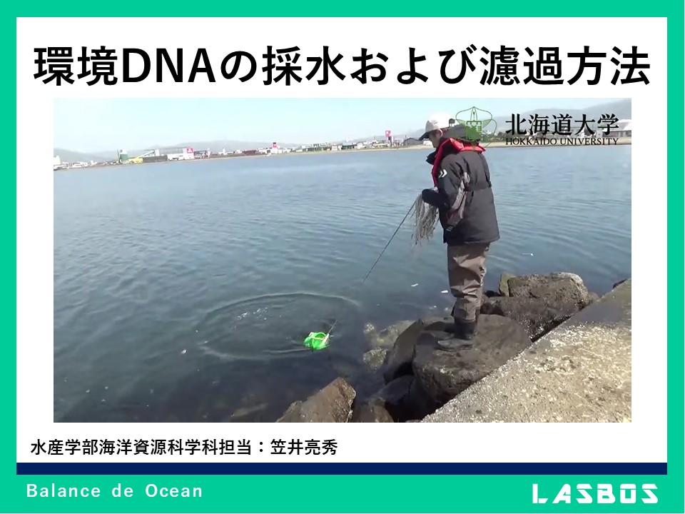 環境DNAの採水および濾過方法
  