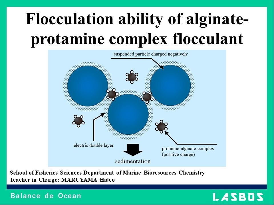 Flocculation ability of alginate-protamine complex flocculant