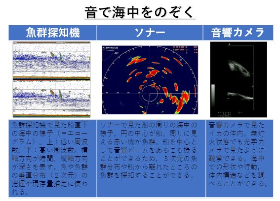 海洋音響学１