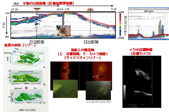 コース: 海洋音響学 Ocean Acoustics（学部専門）の授業紹介コース