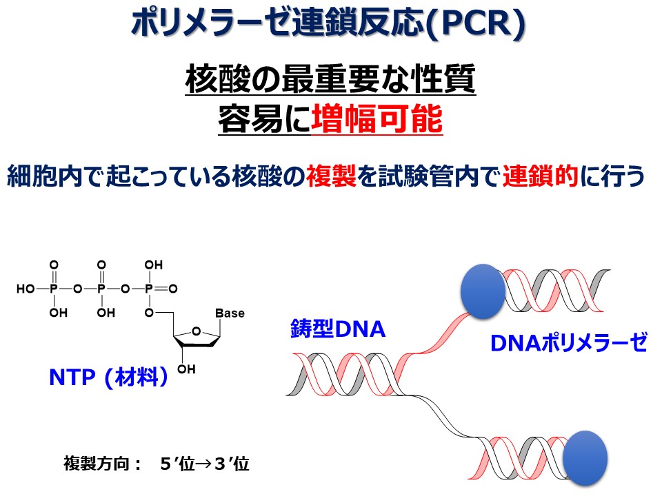 クリスチャン分析化学 II 機器分析編 原書6版 クリスチャン分析化学II - 丸善出版 理工・医学・人文