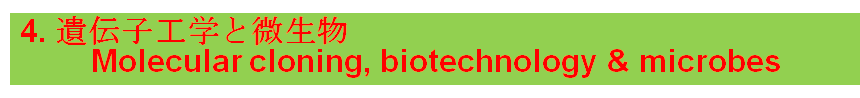 4. 遺伝子工学と微生物   
        Molecular cloning, biotechnology & microbes

