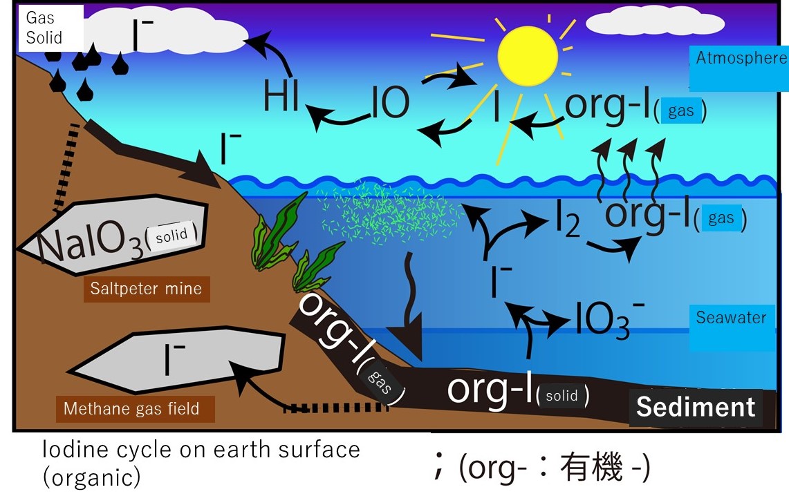 コース: Overview Of Oceanic Iodine Cycle | LASBOS Moodle